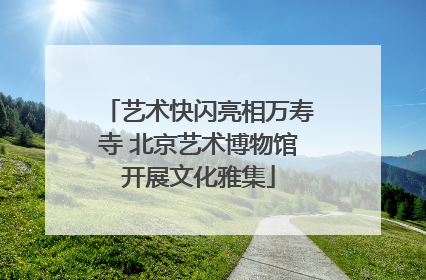 艺术快闪亮相万寿寺 北京艺术博物馆开展文化雅集