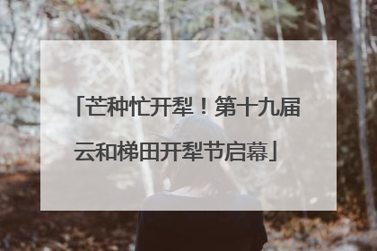 芒种忙开犁！第十九届云和梯田开犁节启幕