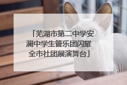 芜湖市第二中学安澜中学生管乐团闪耀全市社团展演舞台