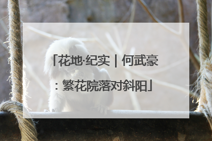 花地·纪实｜何武豪：繁花院落对斜阳