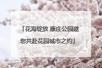 花海绽放 康庄公园邀您共赴花园城市之约