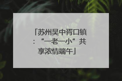 苏州吴中胥口镇：“一老一小”共享浓情端午