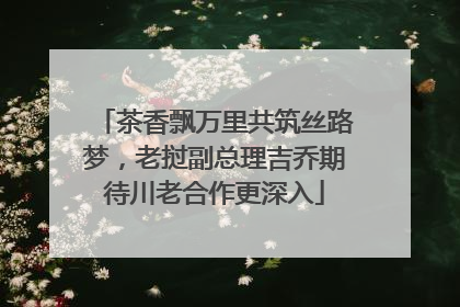 茶香飘万里共筑丝路梦，老挝副总理吉乔期待川老合作更深入