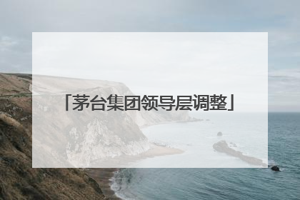 茅台集团领导层调整