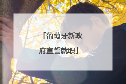 葡萄牙新政府宣誓就职