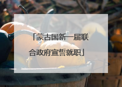 蒙古国新一届联合政府宣誓就职