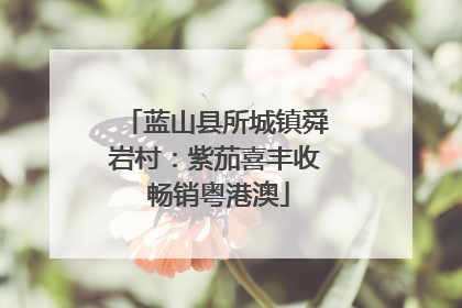蓝山县所城镇舜岩村：紫茄喜丰收 畅销粤港澳
