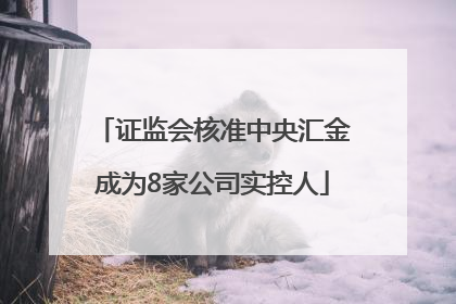 证监会核准中央汇金成为8家公司实控人