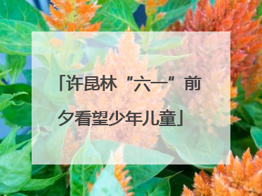 许昆林“六一”前夕看望少年儿童