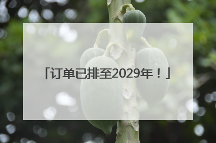 订单已排至2029年！