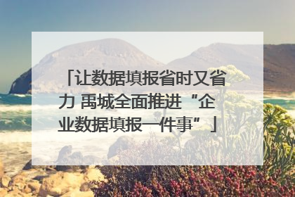 让数据填报省时又省力 禹城全面推进“企业数据填报一件事”