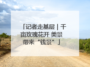 记者走基层｜千亩玫瑰花开 美景带来“钱景”