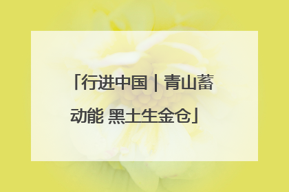 行进中国｜青山蓄动能 黑土生金仓