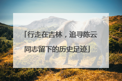 行走在吉林，追寻陈云同志留下的历史足迹