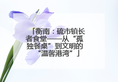衡南：硫市镇长者食堂——从“孤独餐桌”到文明的“温馨港湾”