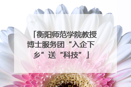 衡阳师范学院教授博士服务团“入企下乡”送“科技”