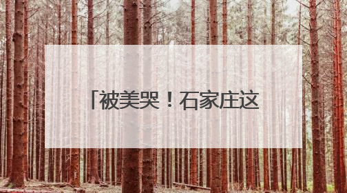 被美哭！石家庄这面花墙藏不住了