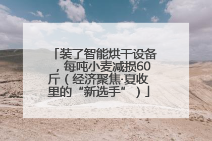 装了智能烘干设备，每吨小麦减损60斤（经济聚焦·夏收里的“新选手”）