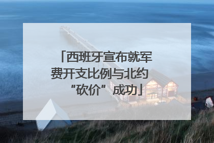 西班牙宣布就军费开支比例与北约“砍价”成功