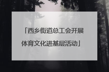 西乡街道总工会开展体育文化进基层活动