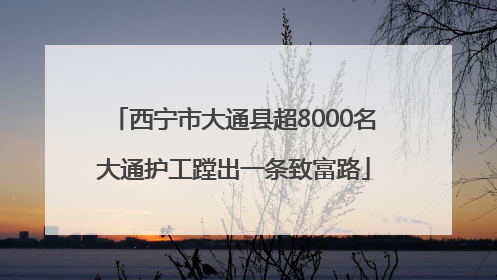 西宁市大通县超8000名大通护工蹚出一条致富路