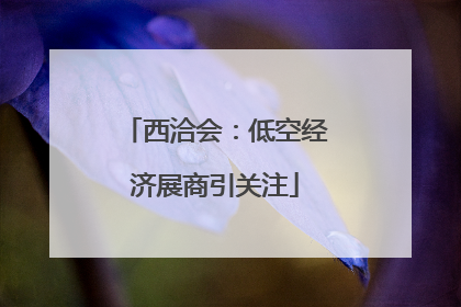 西洽会：低空经济展商引关注