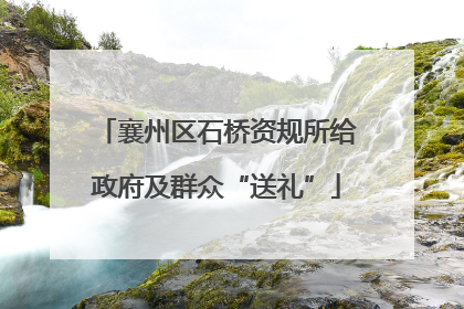 襄州区石桥资规所给政府及群众“送礼”