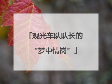 观光车队队长的“梦中情岗”