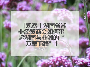 观察丨湖南省湘非经贸商会如何串起湖南与非洲的“万里商路”