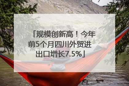 规模创新高！今年前5个月四川外贸进出口增长7.5%