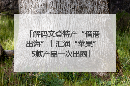 解码文登特产“借港出海”丨汇润“苹果”5款产品一次出圈