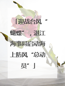 迎战台风“蝴蝶”，湛江海事局启动海上防风“总动员”