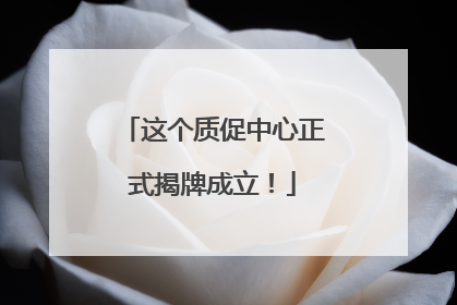 这个质促中心正式揭牌成立！