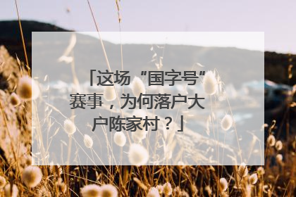 这场“国字号”赛事，为何落户大户陈家村？