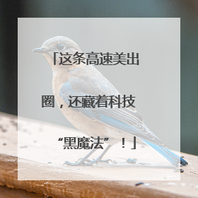 这条高速美出圈，还藏着科技“黑魔法”！