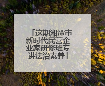 这期湘潭市新时代民营企业家研修班专讲法治素养
