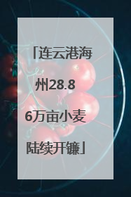 连云港海州28.86万亩小麦陆续开镰