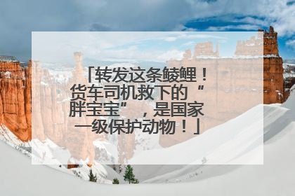 转发这条鲮鲤！货车司机救下的“胖宝宝”，是国家一级保护动物！