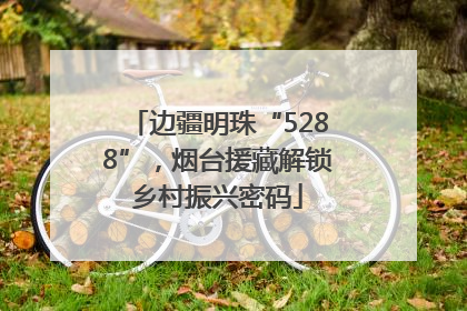 边疆明珠“5288”，烟台援藏解锁乡村振兴密码