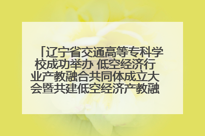 辽宁省交通高等专科学校成功举办 低空经济行业产教融合共同体成立大会暨共建低空经济产教融合新生态论坛