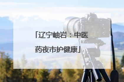 辽宁岫岩：中医药夜市护健康