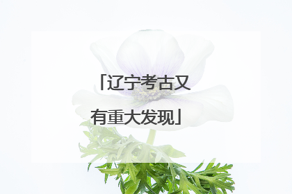 辽宁考古又有重大发现