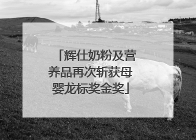 辉仕奶粉及营养品再次斩获母婴龙标奖金奖