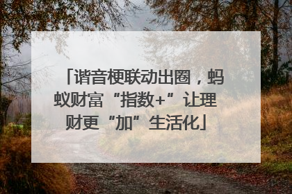 谐音梗联动出圈，蚂蚁财富“指数+”让理财更“加”生活化