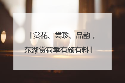 赏花、尝珍、品韵，东湖赏荷季有颜有料