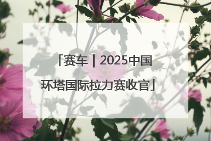 赛车｜2025中国环塔国际拉力赛收官