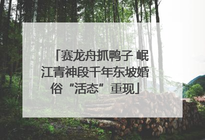 赛龙舟抓鸭子 岷江青神段千年东坡婚俗“活态”重现