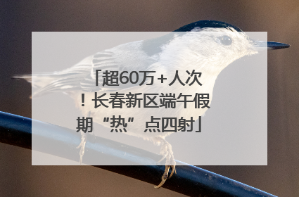 超60万+人次!长春新区端午假期“热”点四射
