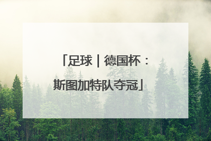 足球｜德国杯：斯图加特队夺冠