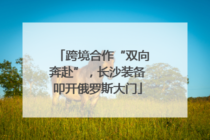 跨境合作“双向奔赴”，长沙装备叩开俄罗斯大门
